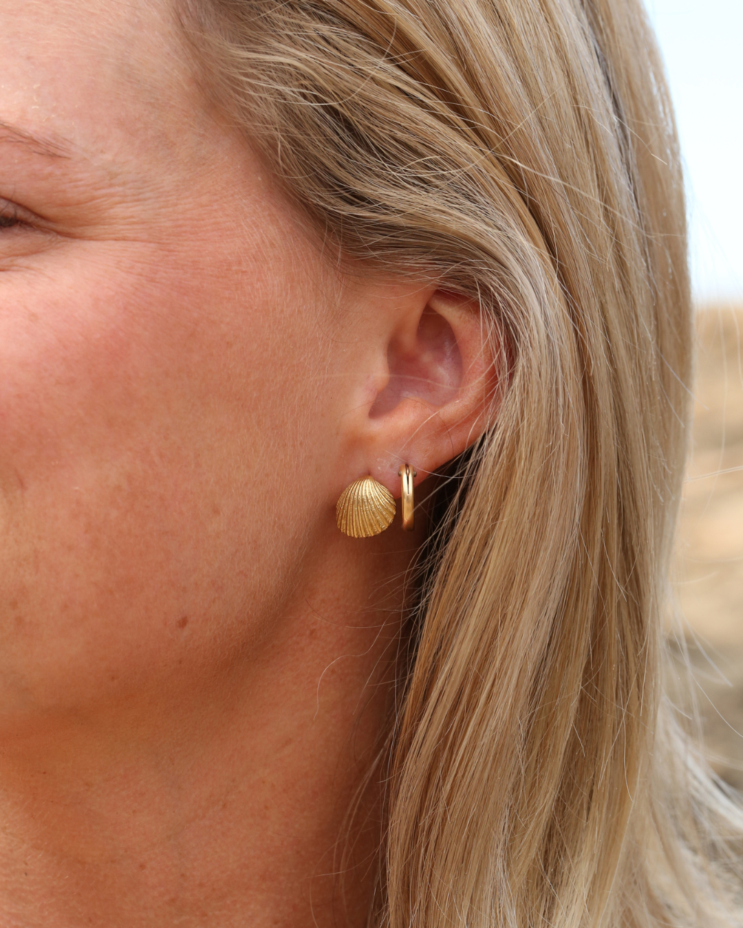 Shell Earrings - Gold