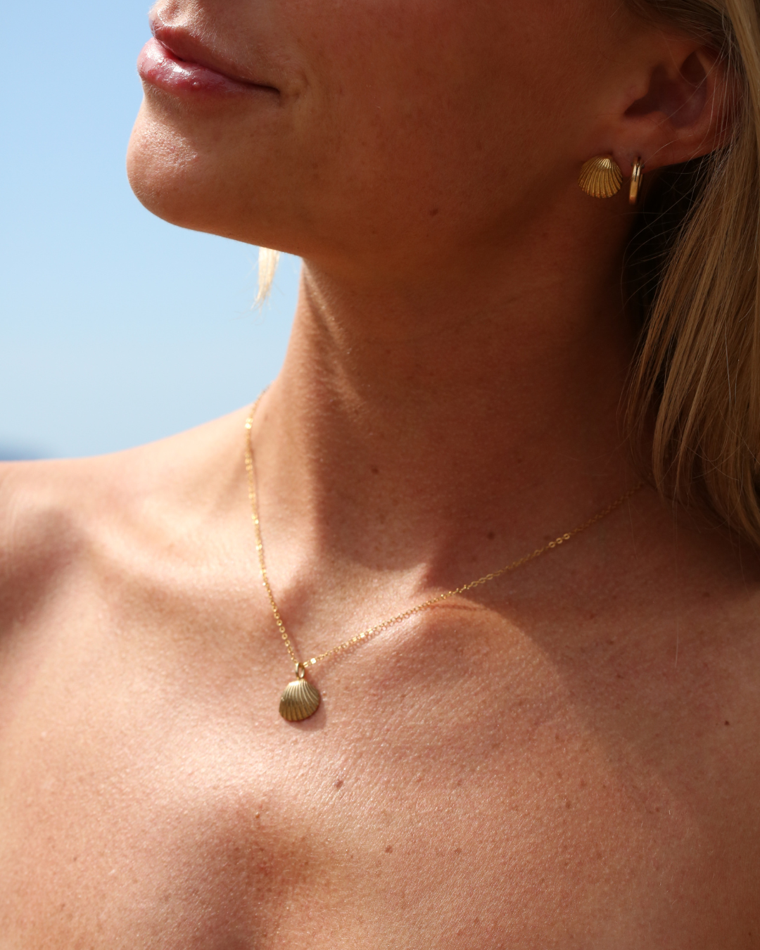 Small Shell Necklace - Gold