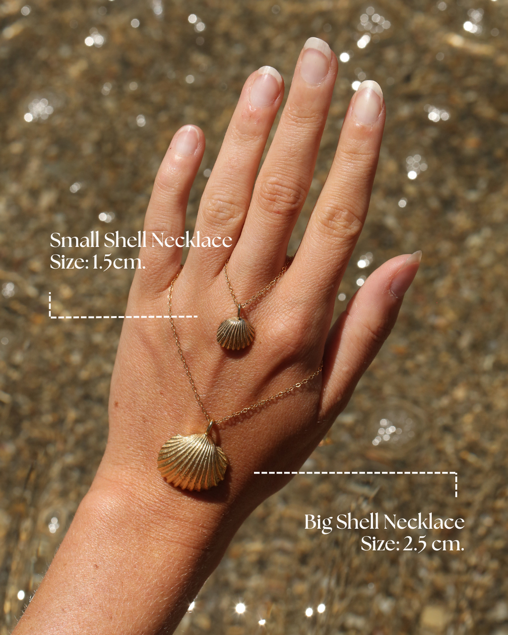 Big Shell Necklace - Gold