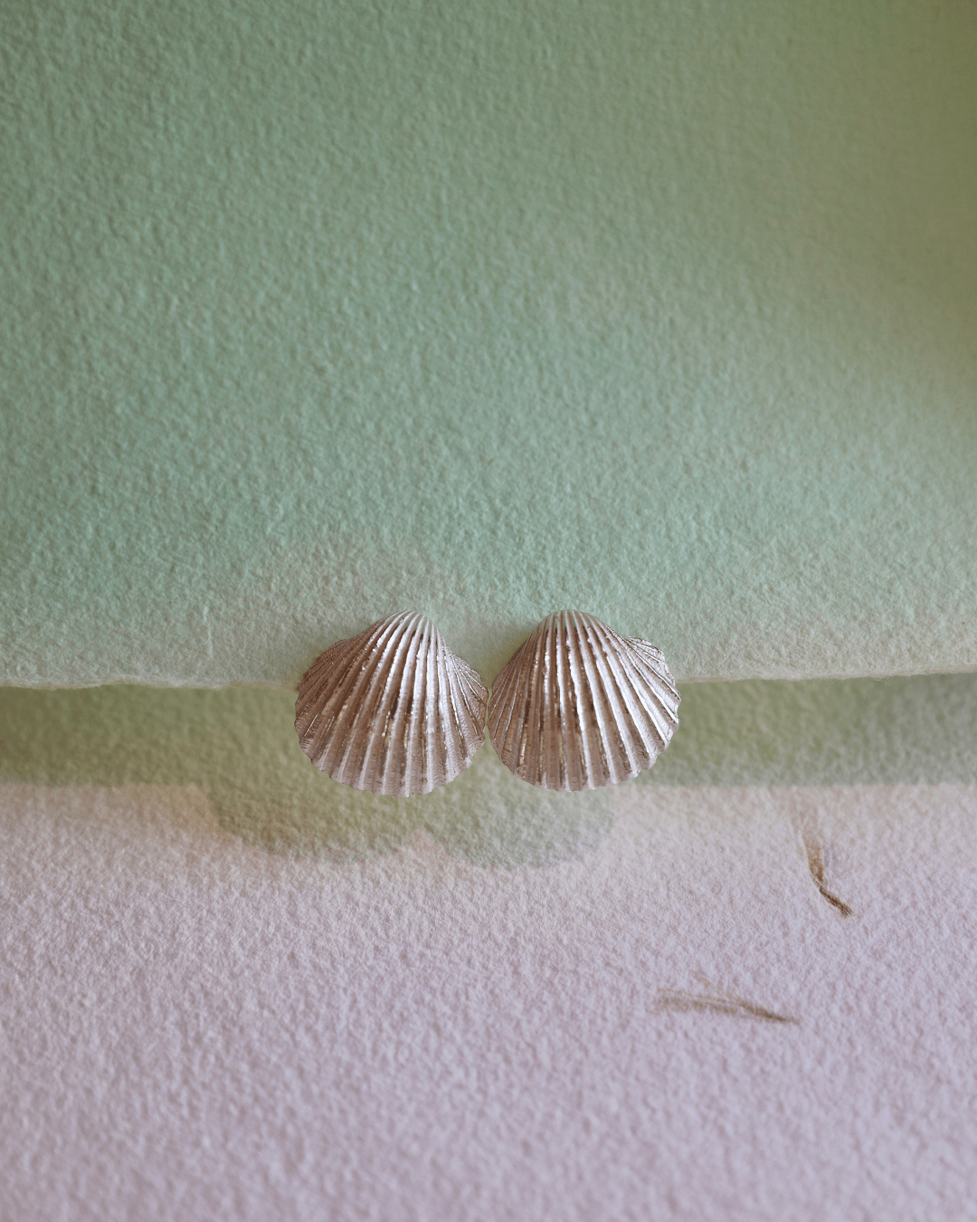 Shell Earrings - Silver