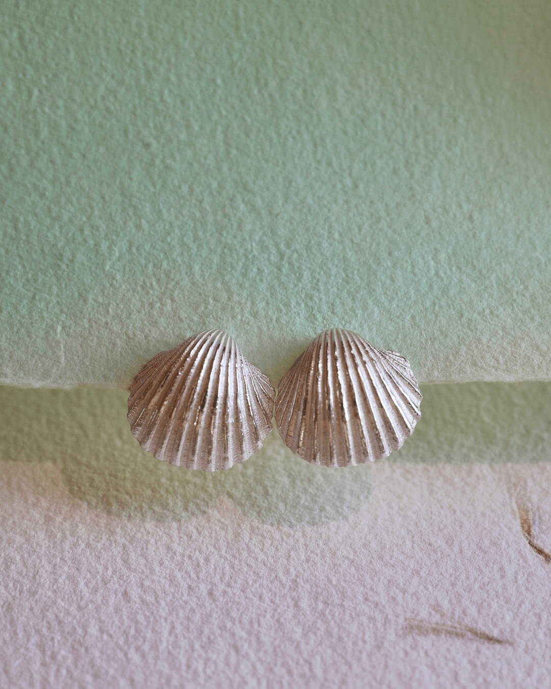 Shell Earrings - Silver