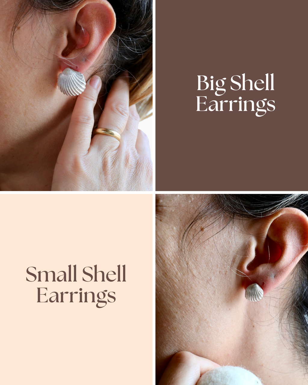 Shell Earrings - Silver